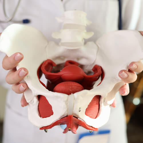 Pelvic Health